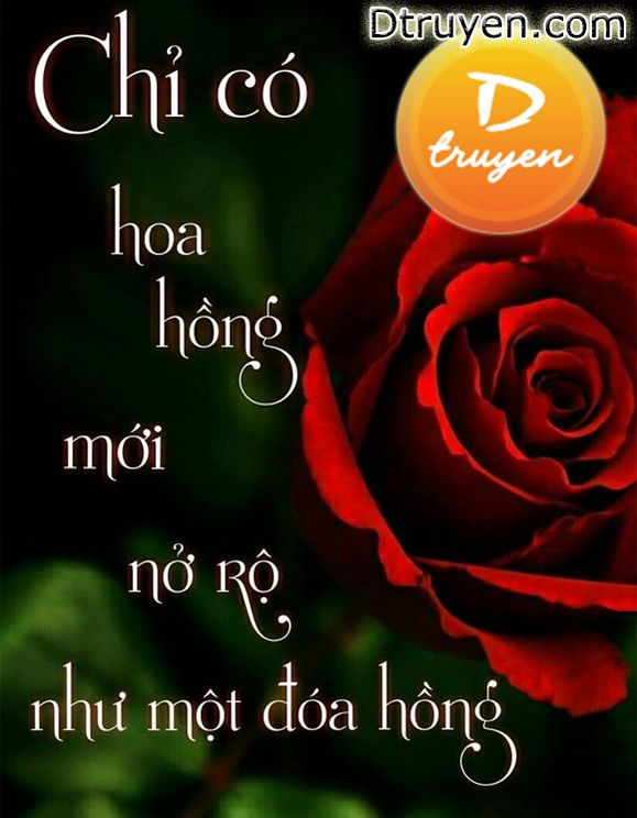 Chỉ Có Hoa Hồng Mới Nở Rộ Như Một Đóa Hồng