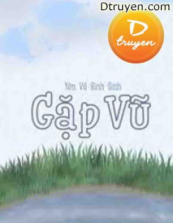 Gặp Vũ